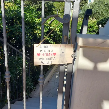 Stambuk Jelsa (Hvar)